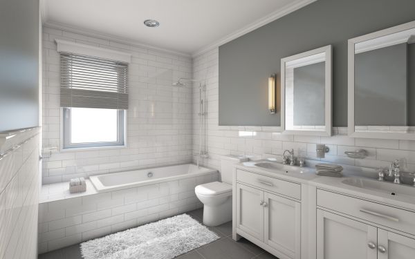 Cost of Restroom Remodeling in Tempe
