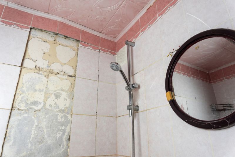 Top Shower Remodeling Companies in Laveen, AZ
